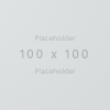 100×100